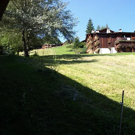 La Piste Bleu Apartment *